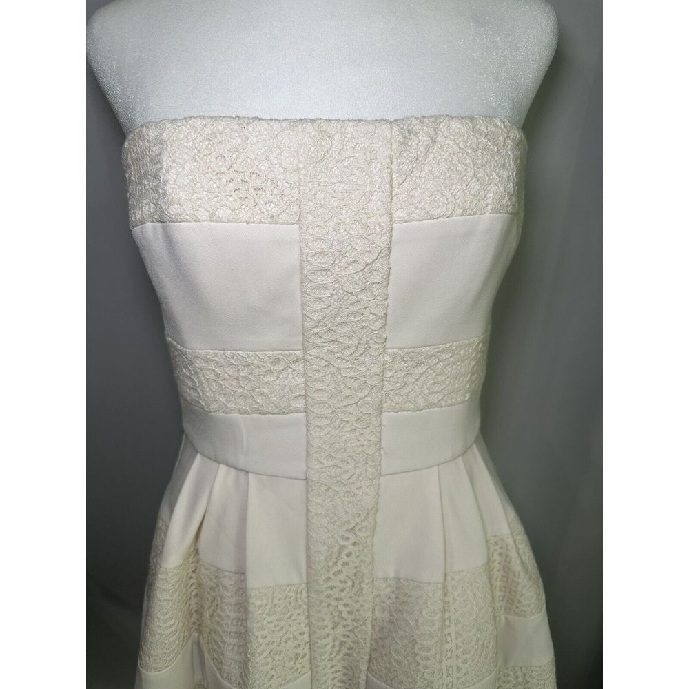 BCBG Maxazria Rose whisper Dorothea Strapless Cocktail Dress Tulle Lined Size 6